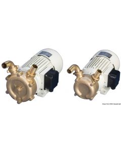 Profi Selbstsaugende Pumpe aus Bronze 75 l/min 