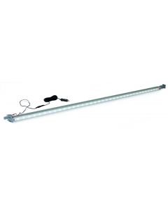 Rafter LED
