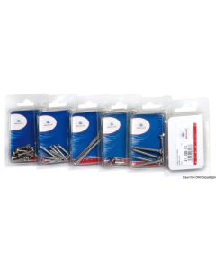 Zylinderkopfschneidscharaube AISI316 6,3x25 mm (Blister 4 Stk)