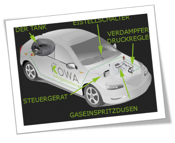 Gaskontrolle & Wartung